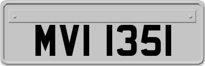 MVI1351