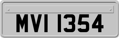 MVI1354