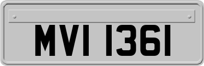 MVI1361