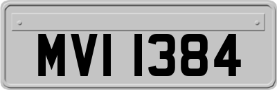 MVI1384
