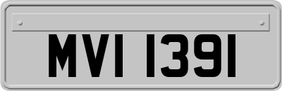 MVI1391