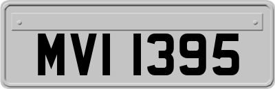 MVI1395