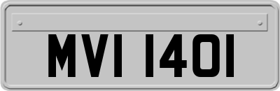 MVI1401