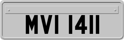 MVI1411