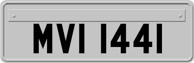 MVI1441