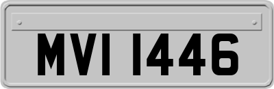 MVI1446