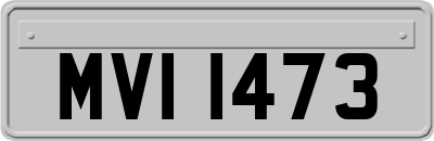 MVI1473