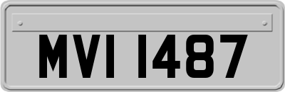 MVI1487