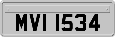 MVI1534