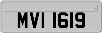 MVI1619