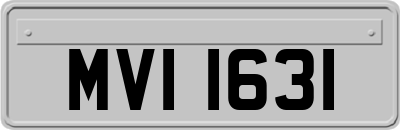 MVI1631