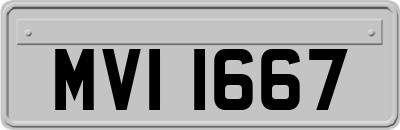 MVI1667