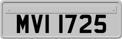MVI1725