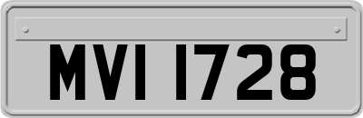 MVI1728