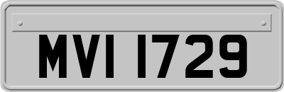 MVI1729