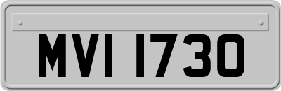 MVI1730