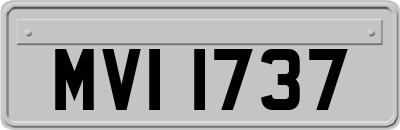 MVI1737