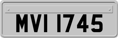 MVI1745