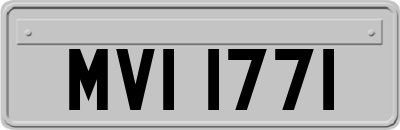 MVI1771