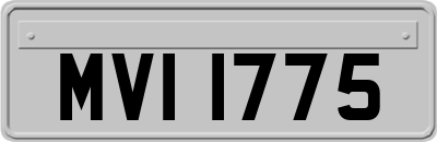 MVI1775
