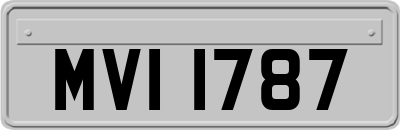 MVI1787