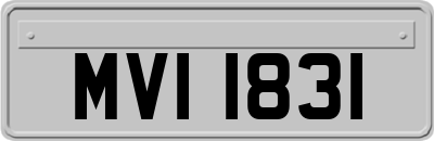 MVI1831