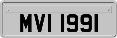 MVI1991