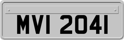 MVI2041