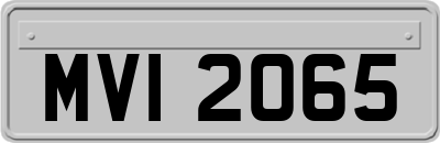 MVI2065