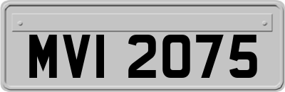MVI2075
