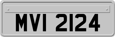 MVI2124