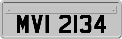 MVI2134