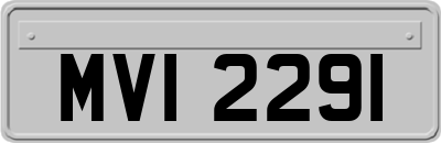 MVI2291