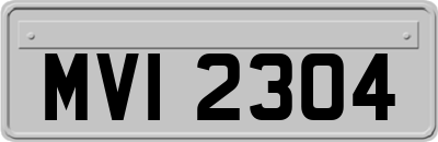 MVI2304
