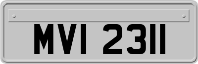 MVI2311