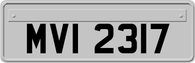 MVI2317
