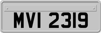 MVI2319