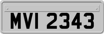 MVI2343