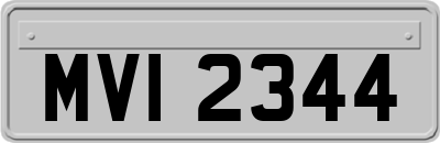 MVI2344