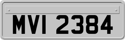 MVI2384