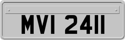 MVI2411