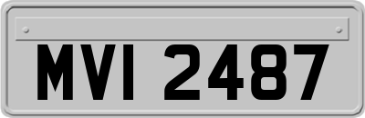 MVI2487
