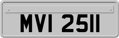 MVI2511