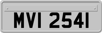 MVI2541