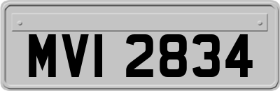 MVI2834