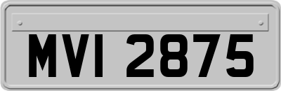 MVI2875