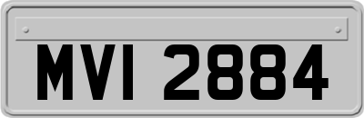 MVI2884