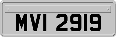 MVI2919