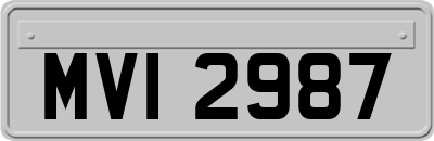 MVI2987