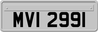 MVI2991